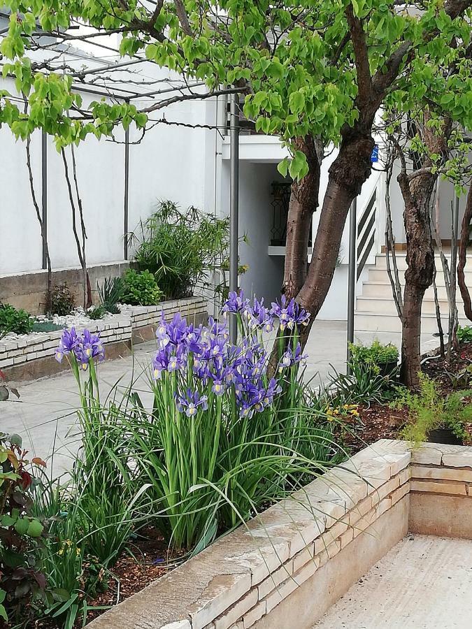 Apartman 1 扎达尔 外观 照片